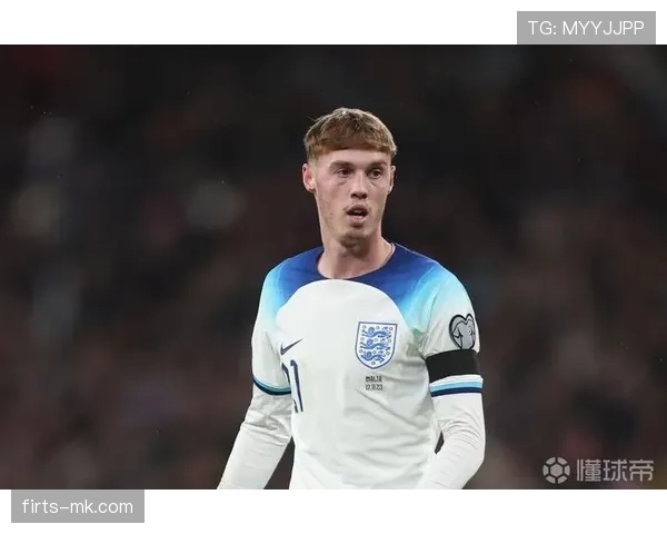 帕尔默与萨卡：新星培养价值及战术适配性对比分析